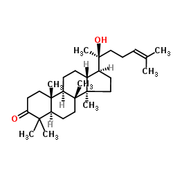 20-Hydroxydammar-24-en-3-one Structure