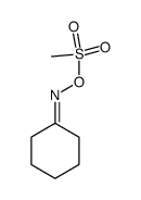cyclohexanone oxime methanesulfonate结构式