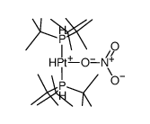 trans-PtH(ONO2)[P(t-Bu)3]2 Structure