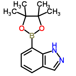7-(4,4,5,5-四甲基-1,3,2-二氧硼杂环戊烷-2-基)-1H-吲唑结构式