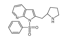 1-(Phenylsulfonyl)-2-[(2R)-2-pyrrolidinylmethyl]-1H-pyrrolo[2,3-b ]pyridine Structure