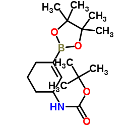 N-[3-(4-(4,4,5,5-四甲基-1,3,2-二氧杂硼硼烷-2-基)环己-2-烯-1-基]氨基甲酸酯结构式