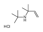 tert-butyl(2-methylbut-3-en-2-yl)azanium,chloride Structure