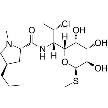 Clindamycin picture