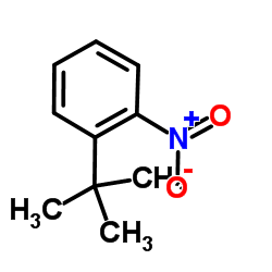 2-叔丁基硝基苯结构式