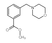 3-(4-吗啉基甲基)苯甲酸甲酯结构式