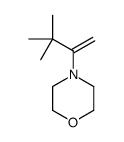 4-(3,3-dimethylbut-1-en-2-yl)morpholine Structure