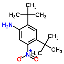 2,4-Di-tert-butyl-5-nitroaniline结构式