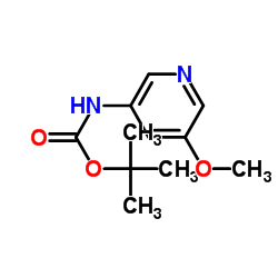3-BOC-氨基-5-甲氧基吡啶结构式