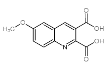 6-甲氧基喹啉-2,3-二羧酸结构式