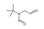 N-tert-butyl-N-(2-oxoethyl)nitrous amide结构式