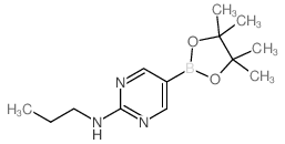 2-丙基氨基嘧啶-5-硼酸频那醇酯结构式