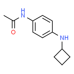 N-(4-(环丁基氨基)苯基)乙酰胺结构式