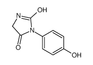 3-(4-hydroxyphenyl)imidazolidine-2,4-dione Structure