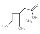Cyclobutaneacetic acid,3-amino-2,2-dimethyl- Structure