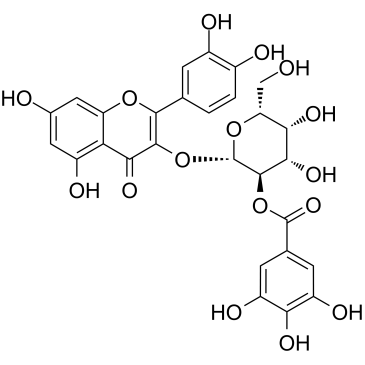 2''-O-Galloylhyperin structure
