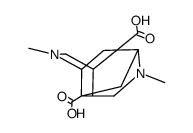 octahydro-2,6-dimethyl-3,8:4,7-dimethano-2,6-naphthyridine-4,8-dicarboxylic acid Structure