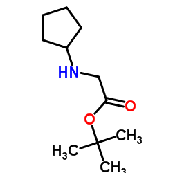 环戊基甘氨酸叔丁酯结构式