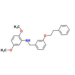 2,5-Dimethoxy-N-[3-(2-phenylethoxy)benzyl]aniline Structure