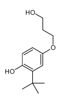 2-tert-butyl-4-(3-hydroxypropoxy)phenol Structure