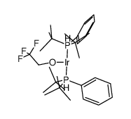 bis(di-tert-butyl(phenyl)-5-phosphanyl)(2,2,2-trifluoroethoxy)iridium(V) hydride结构式