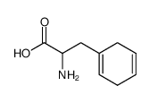 2-amino-3-(1,4-cyclohexadienyl)propanoic acid Structure