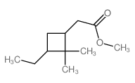 Cyclobutaneacetic acid,3-ethyl-2,2-dimethyl-, methyl ester Structure