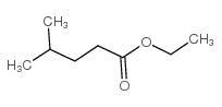 ethyl 4-methyl valerate structure