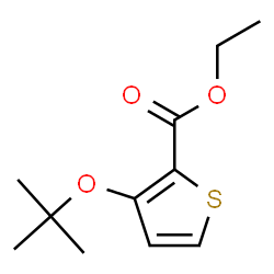 3-tert-Butoxy-2-thiophenecarboxylic acid ethyl ester Structure