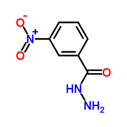 3-Nitrobenzhydrazide Structure