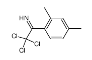 2,2,2-trichloro-1-(2,4-dimethyl-phenyl)-ethanone-imine结构式
