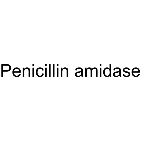 Penicillin amidase Structure