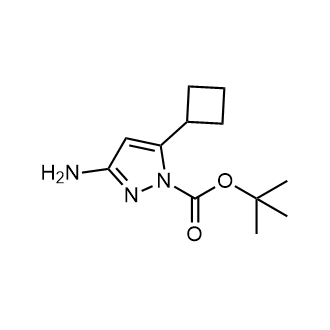 3-氨基-5-环丁基-1H-吡唑-1-羧酸-1,1-二甲基乙基酯结构式