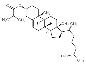 Cholesteryl isobutyrate Structure