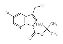 5-溴-3-(氯甲基)-1H-吡咯并[2,3-b]吡啶-1-羧酸叔丁酯结构式