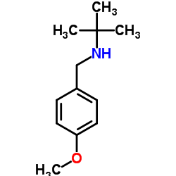 N-(4-Methoxybenzyl)-2-methyl-2-propanamine Structure