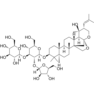 假马齿苋皂苷II图片