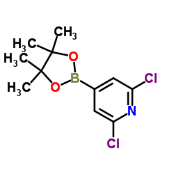 2,6-二氯吡啶-4-硼酸频哪醇酯结构式