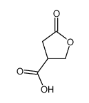 tetrahydro-5-oxo-3-furancarboxylic acid结构式
