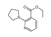 Ethyl 2-(1-pyrrolidinyl)nicotinate结构式