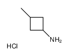 3-甲基环丁胺盐酸盐结构式