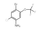 4-溴-2-氯-5-(三氟甲氧基)苯胺结构式