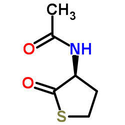 Acetylhomocysteine thiolactone Structure