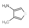 4-甲基-3-噻吩胺结构式