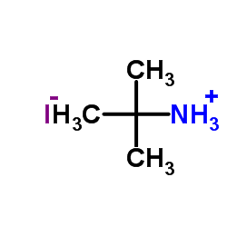 叔丁胺氢碘酸盐结构式