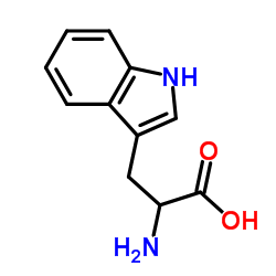 DL-Tryptophan Structure