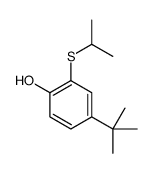 4-tert-butyl-2-propan-2-ylsulfanylphenol结构式
