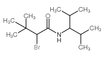 N1-(1-ISOPROPYL-2-METHYLPROPYL)-2-BROMO-3,3-DIMETHYLBUTANAMIDE Structure