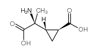 (2S,3S,4S)-2-METHYL-2-(CARBOXYCYCLOPROPYL)GLYCINE structure