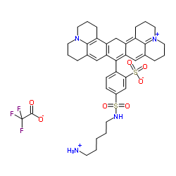 Sulforhodamine 101 cadaverine TFA salt structure